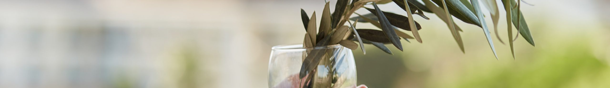 Réservez votre séjour au Jardin de César