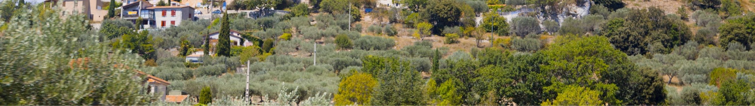 Les services proposés au Jardin de César à Orsan